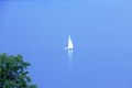 Real Estate Halkidiki